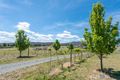 Property photo of 142 Macdiarmid Road Burra NSW 2620