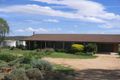 Property photo of 4172 Murringo Road Young NSW 2594