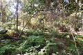 Property photo of 52 Canyon Parade Springbrook QLD 4213