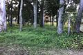 Property photo of 38 Shirley Street Coochiemudlo Island QLD 4184