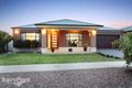 Property photo of 8 Birdswing Terrace Melton South VIC 3338