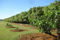 Property photo of 48 Saint Johns Road Windermere QLD 4670