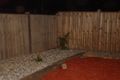 Property photo of 9 Lapwing Close Williams Landing VIC 3027