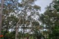 Property photo of 23 Whitelocke Street Coal Point NSW 2283