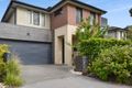 Property photo of 57 Botanic Drive Clayton South VIC 3169