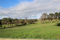 Property photo of 12 Russell Street Panmure VIC 3265