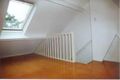 Property photo of 13 Buckland Street Alexandria NSW 2015
