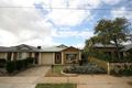 Property photo of 20 Cator Street West Hindmarsh SA 5007