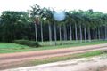 Property photo of 10 Miniata Road Lambells Lagoon NT 0822