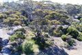 Property photo of 8 Lulu Court Port Vincent SA 5581