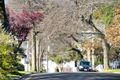 Property photo of 19 Capella Street Balwyn North VIC 3104