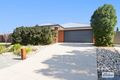 Property photo of 55 Wellington Drive Thurgoona NSW 2640