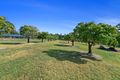Property photo of 187 Springvale Road Tinana QLD 4650