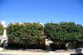 Property photo of 1/41-49 Darley Street East Mona Vale NSW 2103