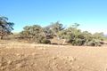 Property photo of 581 Jerangle Road Bredbo NSW 2626