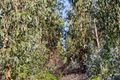 Property photo of 140 Pennyroyal-Wymbooliel Road Murroon VIC 3243