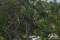 Property photo of 17/4 Serenity Close Noosa Heads QLD 4567