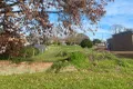 Property photo of 13A Dimora Avenue Camperdown VIC 3260