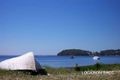 Property photo of 29 Yachtsman Crescent Salamander Bay NSW 2317
