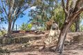 Property photo of 3/160 Wright Street Kewdale WA 6105