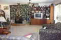 Property photo of 980 Quinzeh Creek Road Cedar Creek QLD 4207