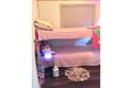 Property photo of 78 Moolyung Road Waterloo QLD 4673
