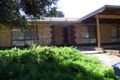 Property photo of 7 Guy Street Berri SA 5343