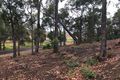 Property photo of 703 Struthers Street Nannup WA 6275
