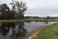 Property photo of D3082 Princes Highway Jerrawangala NSW 2540