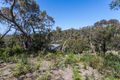 Property photo of 30 Niblick Street Anglesea VIC 3230