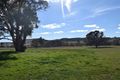 Property photo of 1206 Yass River Road Yass River NSW 2582