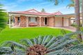 Property photo of 41 Solomon Crescent Tingalpa QLD 4173