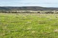 Property photo of LOT 1 Scenic Drive Napperby SA 5540