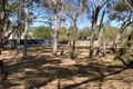 Property photo of 85 High Street Warialda NSW 2402
