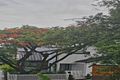 Property photo of 9 Gilday Street Paddington QLD 4064