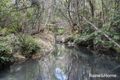 Property photo of 1739 Eastern Dorrigo Way Ulong NSW 2450