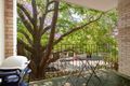 Property photo of 1/2 Holt Street Double Bay NSW 2028