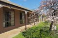 Property photo of 37 Manifold Street Nathalia VIC 3638