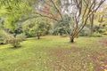 Property photo of 12 Princess Avenue Emerald VIC 3782