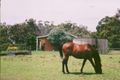 Property photo of 40 Mount Lyall Road Heath Hill VIC 3981