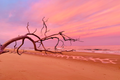 Property photo of 66 Rules Beach Road Rules Beach QLD 4674