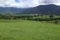 Property photo of 141 Tyalgum Creek Road Tyalgum Creek NSW 2484