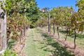 Property photo of 312 Hotham Road Portsea VIC 3944
