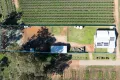 Property photo of 232 Begara Street Renmark North SA 5341