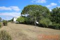 Property photo of 2 Marlee Street Wingham NSW 2429