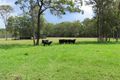 Property photo of 173 Brimbin Road Brimbin NSW 2430