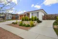 Property photo of 6 Amaryllis Street Wright ACT 2611