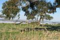 Property photo of 7272 Taralga Road Curraweela NSW 2580