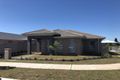 Property photo of 19 Abidi Street Spring Farm NSW 2570
