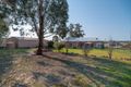 Property photo of 59 Bellevue Road Mudgee NSW 2850